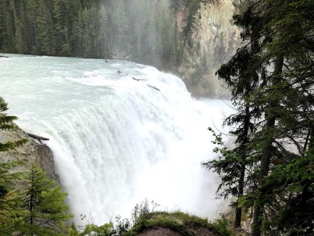 NP Yoho  - Wapta Falls