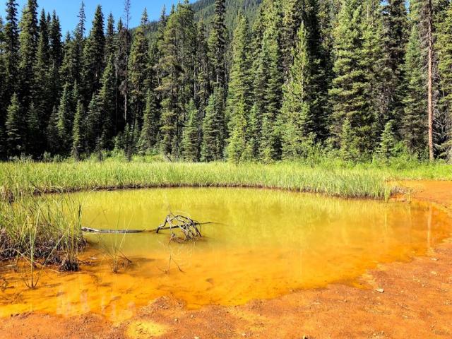 NP KOOTENAY - Paint Pots