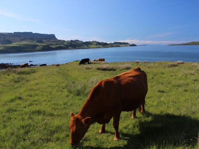 Staffin bay (2)
