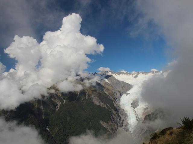 Fox Glacier
