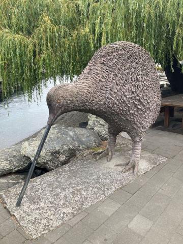 Queenstown - Kiwi