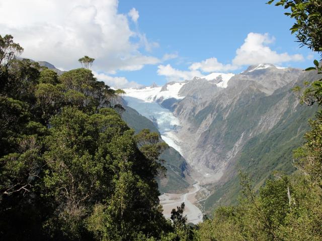 Fox Glacier