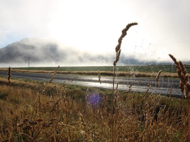 Gibbston Valley