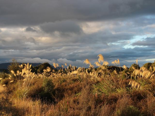pod vrcholem Ruapehu