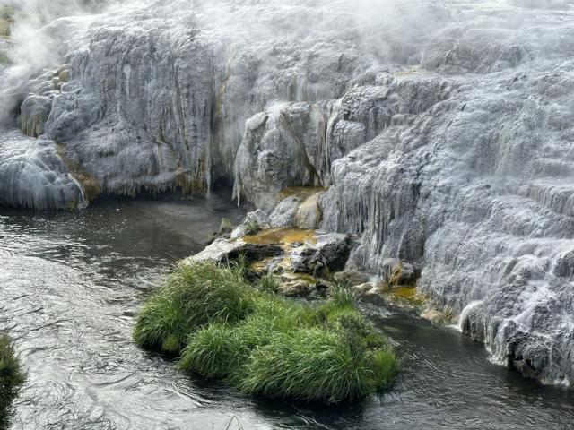 Te -Puia - geotermílní park