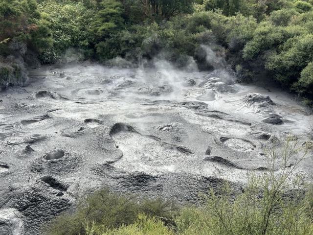 Te Puia - bahení jezírko