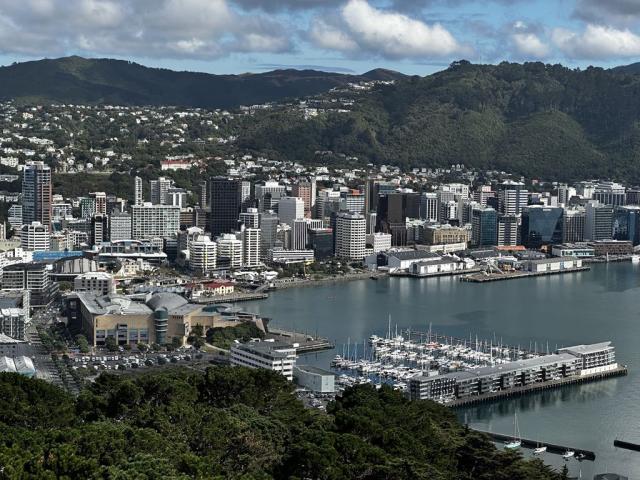 Wellington z Mt. Victoria
