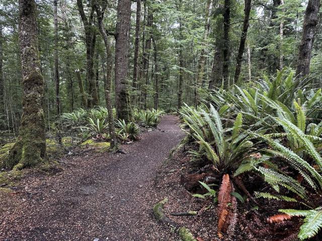 Kepler track