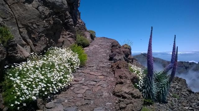 La Palma - Roque de los Muchachos 2