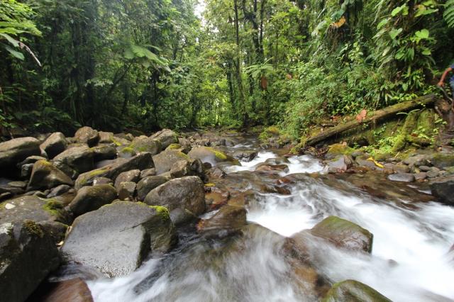 Guadeloupe - cesta k vodopádu Moreau