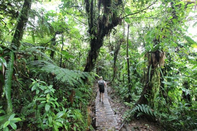 Guadeloupe - tropickým porostem k vodopádům Carbet