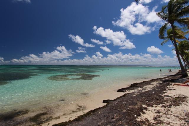 Guadeloupe - pláž u Sainte Anne