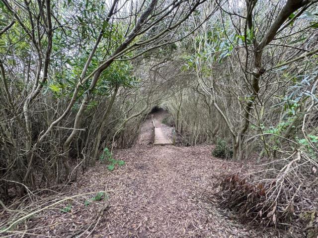 Den 3