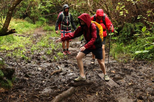 Réunion - Foret Belouve po desti