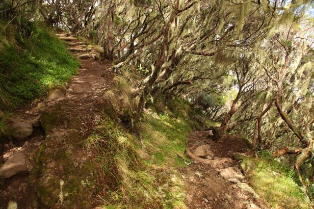 Réunion - výstup na Caverne Dufour
