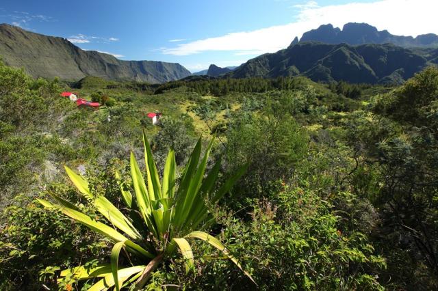 Réunion - Cirque de Mafate
