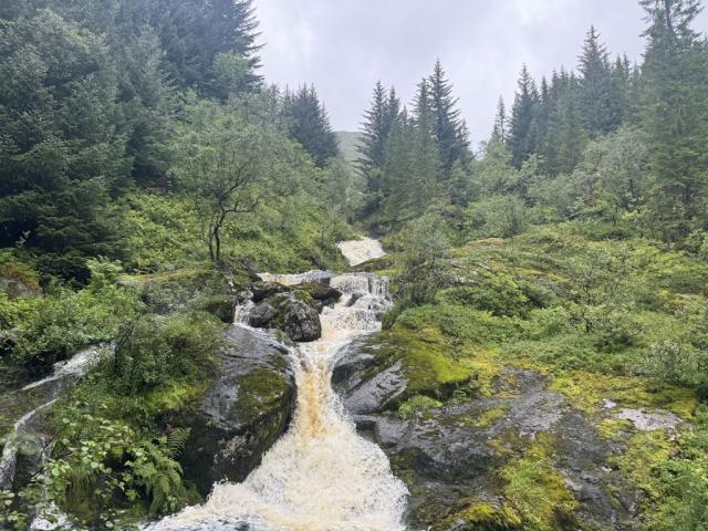 ... z výletu
