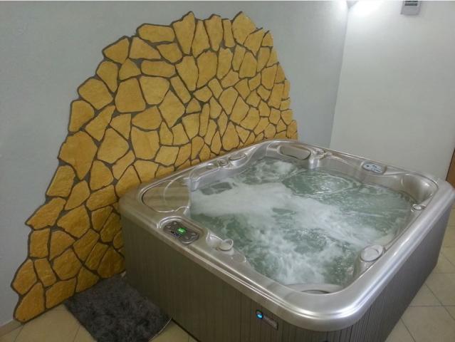 Wellness