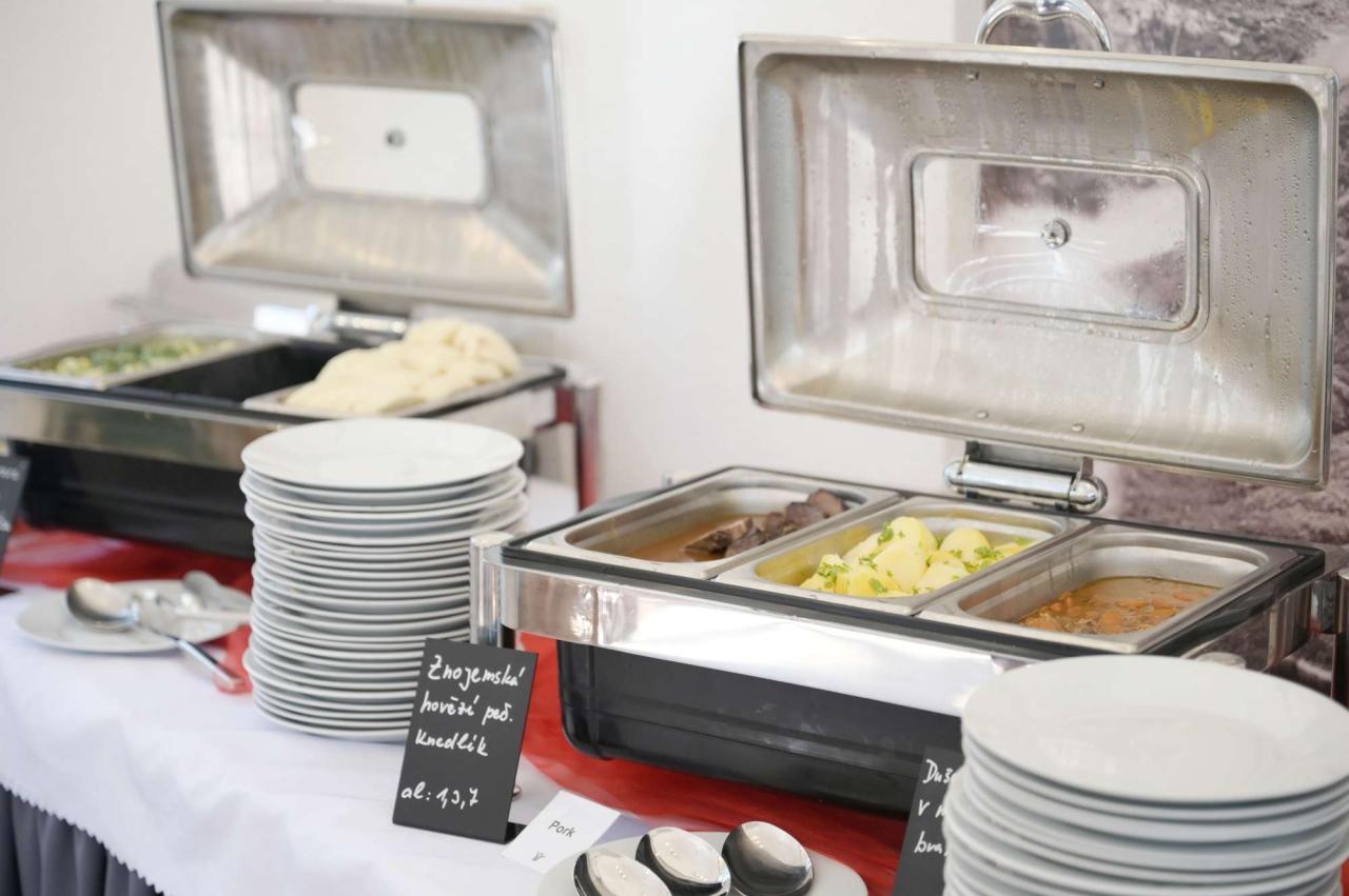 Exkluzivní gastronomická nabídka jídel lázeňského hotelu Terra