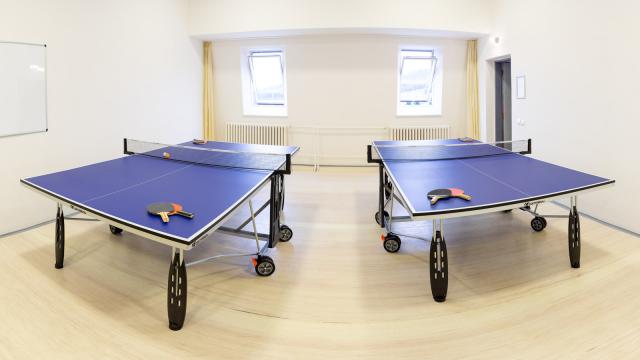Stolní tenis