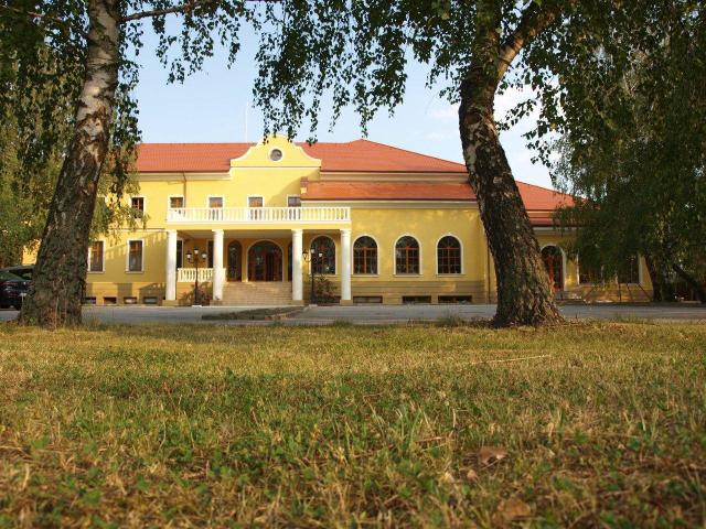Plauter Kúria