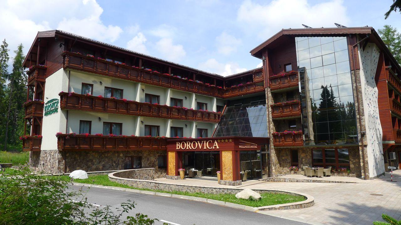 Borovica