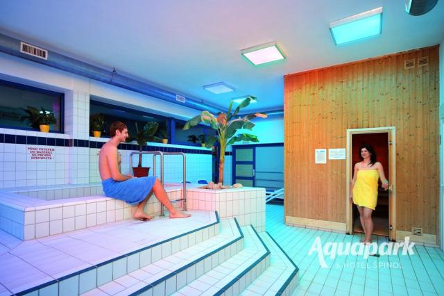 Wellness