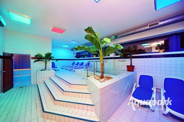 Wellness
