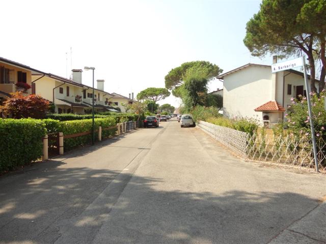 DSC03177.JPG