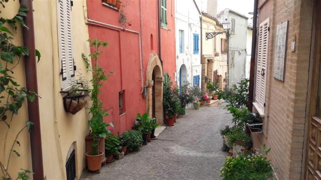 Grottamare Alta.jpg