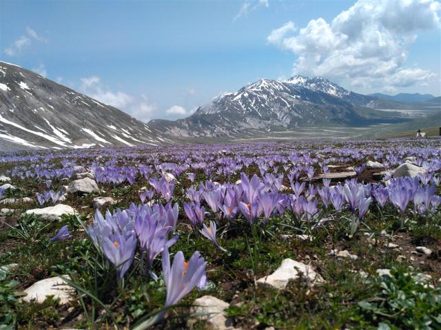 Gran Sasso.jpg