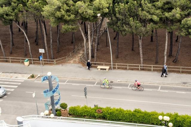 bici2.jpg