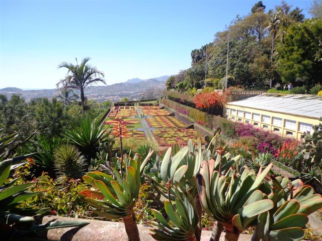 Botanical garden - carpet.jpg