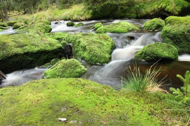 river-557619_1920.jpg