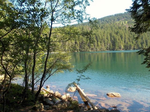 sumava-3241244_1280.jpg