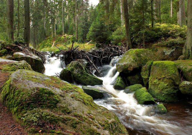 sumava-1186455_1920.jpg