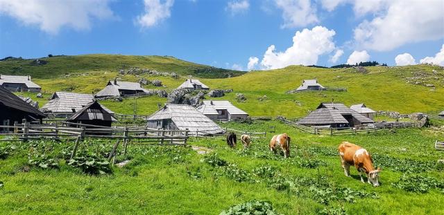 velika-planina-4375783_1920.jpg