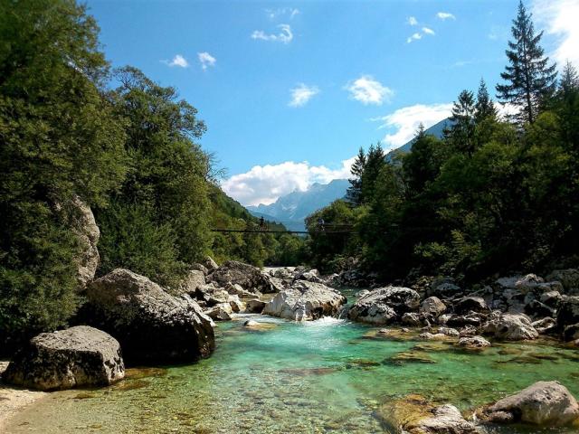 river-983476_1280.jpg