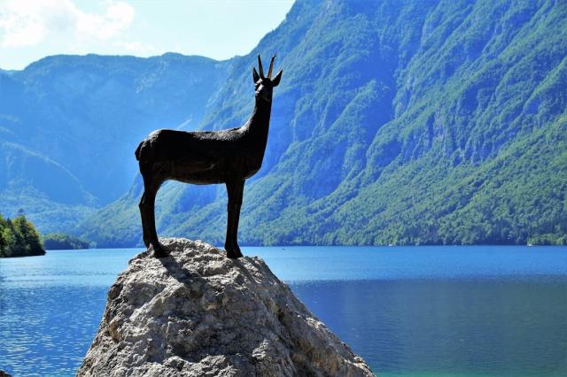 bohinj-2550178_12801.jpg