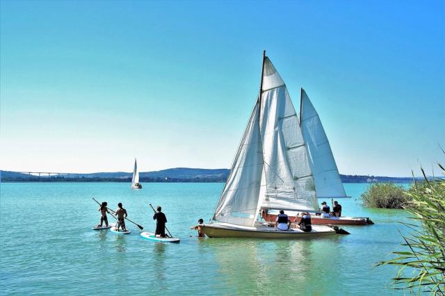 stand-up-paddleboarding-1604128_1920.jpg