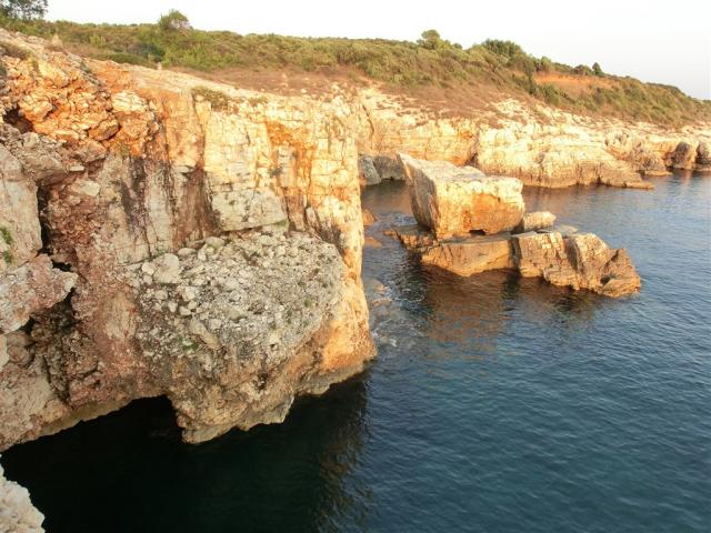 CIMG0950.JPG
