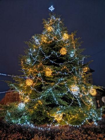 IMG_20221204_1641341.jpg