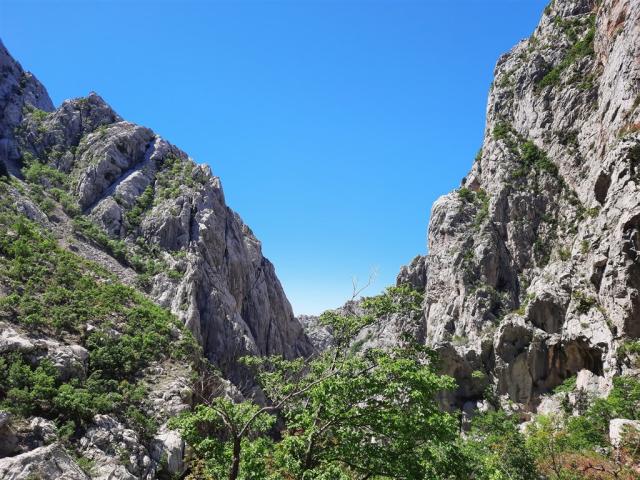 mountain-6248832_1920.jpg