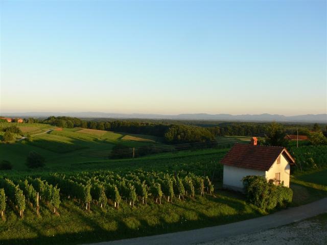 landscape-485173_1920.jpg