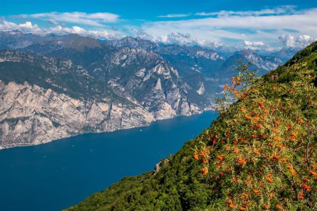 lago-di-garda-7390001_1920.jpg