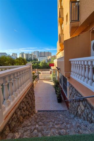 Jardín_4.jpg