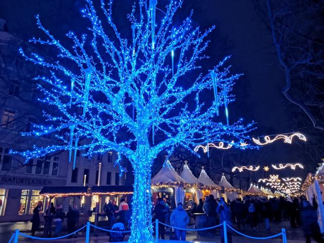 IMG_20231201_170517.jpg