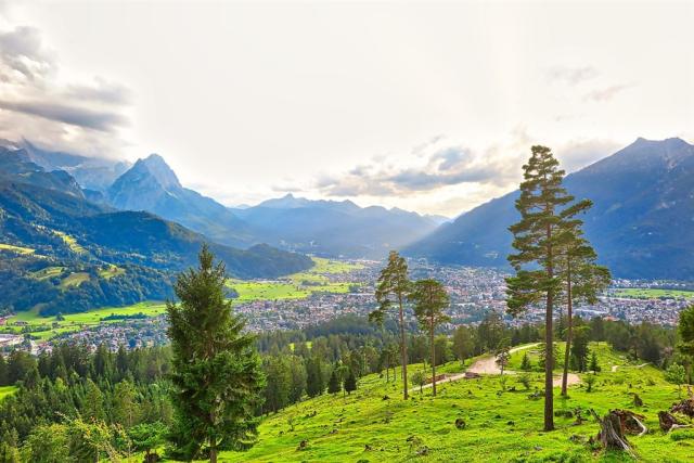 alpine-5552553_1280.jpg