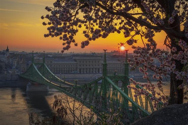 bridge-7824147_1920.jpg