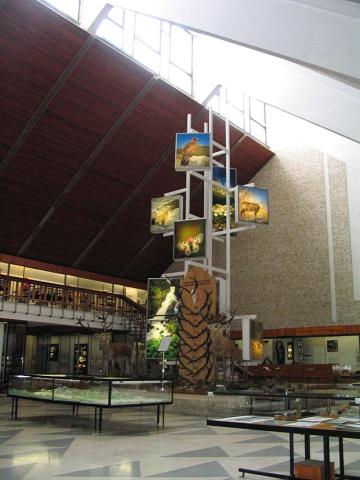 expozicna_hala_mtanapu